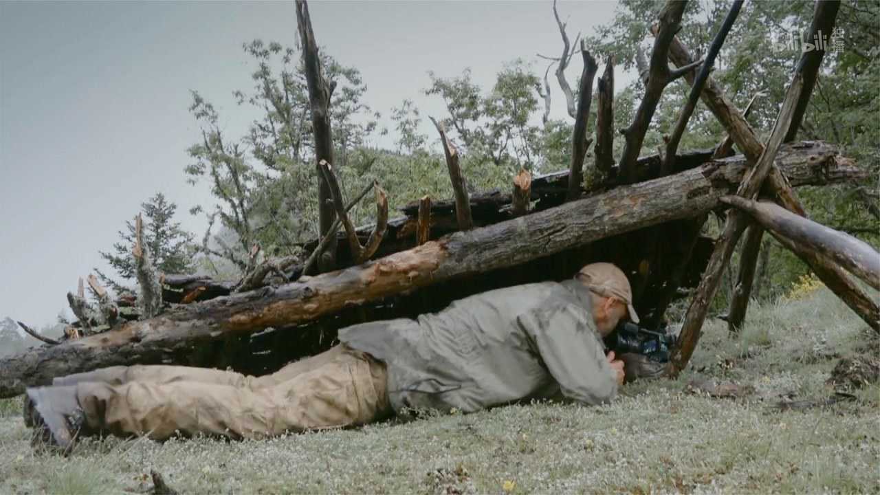 德爷荒野求生来到熊窝丛林为了躲避危险只能建造奇葩帐篷了