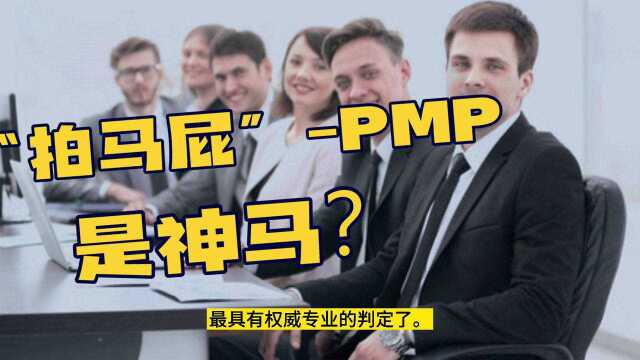 PMP是什么?