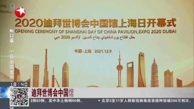 迪拜世博会中国馆上海日活动开幕 “云上展览”促进经贸合作