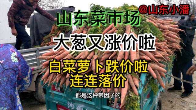 山东大白菜价格暴跌 实拍今天12月16号啥价格 这价格合适嘛