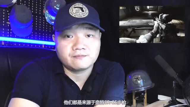 AR步枪真的最适合改造成狙击枪?看完MK11的战绩就知道答案