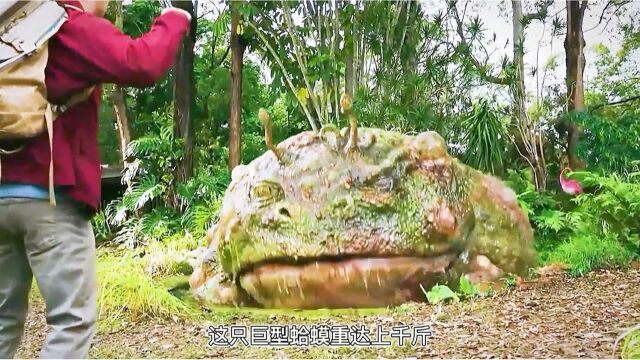 地球生物变异放大100倍,人类该如何生存!第1/3集