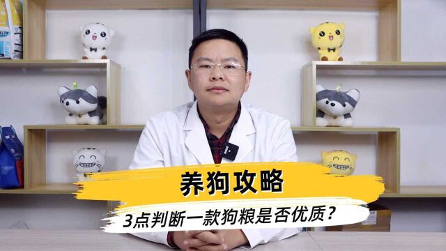 养狗攻略,3点判断一款狗粮是否优质?