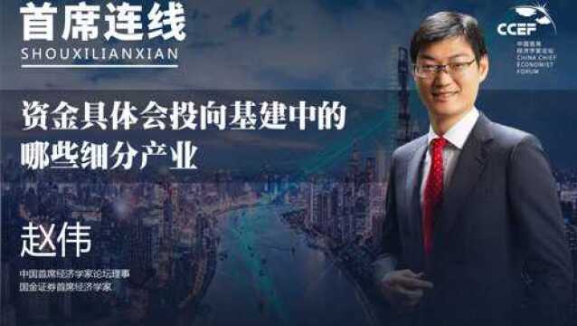 赵伟:资金具体会投向基建中的哪些细分产业