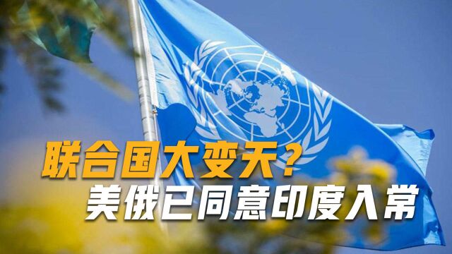 联合国突然变天?184个国家联合支持印度入常,美俄态度罕见一致