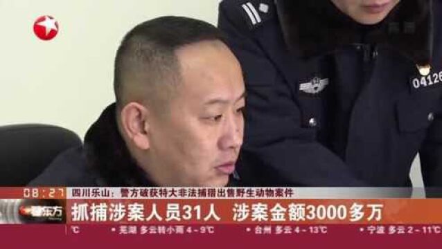 四川乐山:警方破获特大非法捕猎出售野生动物案件——抓捕涉案人员31人 涉案金额3000多万