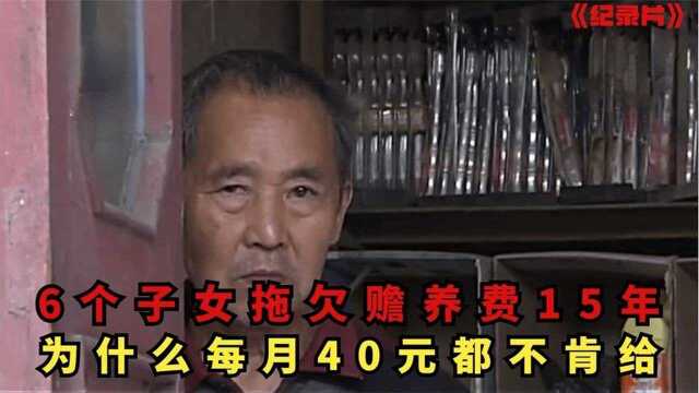 6个子女拖欠赡养费15年,每月40元都不肯给,被告到法院结局如何?#好片推荐官#