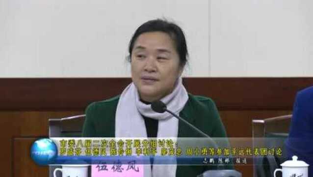 市委八届二次全会开展分组讨论:罗盛芬 伍德凤 陈伶俐 李利平 廖茂忠 周小勇等参加平远代表团讨论