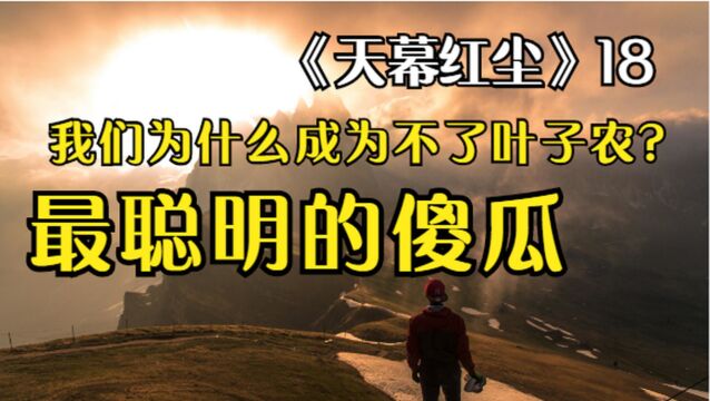 《天幕红尘》18—“最聪明的傻瓜”,我们为什么成为不了叶子农?