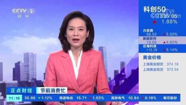 央视聚焦丨吉林梨树:春节临近 进入农户售粮高峰期