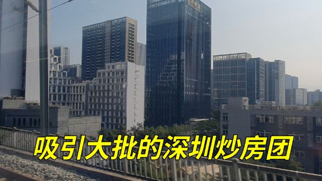 大批深飘族到惠州定居,实拍惠州城建看富裕吗?炒房团被“团灭”?