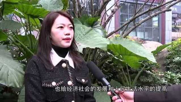 代表委员热议高质量发展医(康)养产业 建设世界级大健康产业