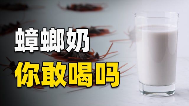 蟑螂奶你喝过吗?营养价值是牛奶的4倍,将来会成为主流饮品吗?