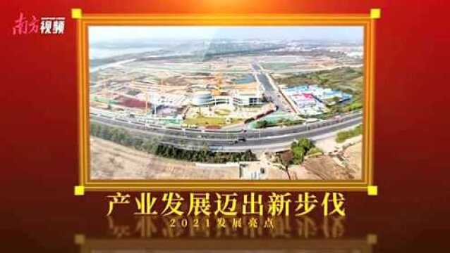 视频|改革创新再出发,三水云东海2022年将以五大抓手再开新局