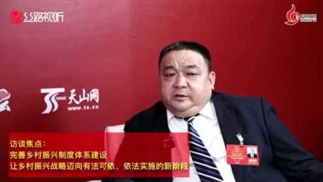 两会微访谈|人大代表宋林:充分发挥立法在乡村振兴中的保障和推动作用