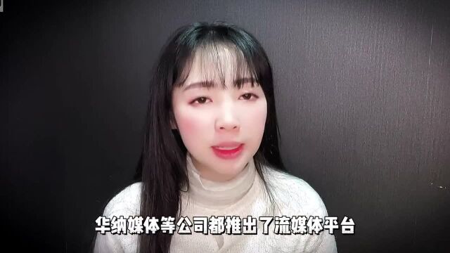 奈飞暴跌,元宇宙会成为新的答案吗?