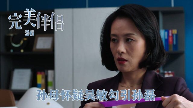 速看《完美伴侣》26:孙母怀疑吴敏勾引孙磊