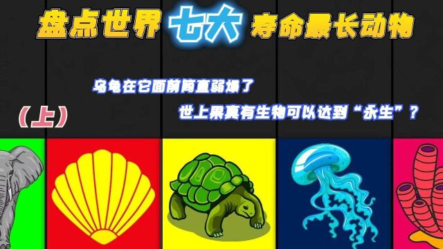 盘点世界七大最长寿动物,乌龟被它瞬秒,世上果真有生物存在“永生”?