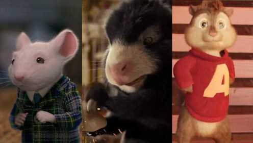 这三只《萌版老鼠》电影，你最喜欢哪一只？豚鼠原来是特工！