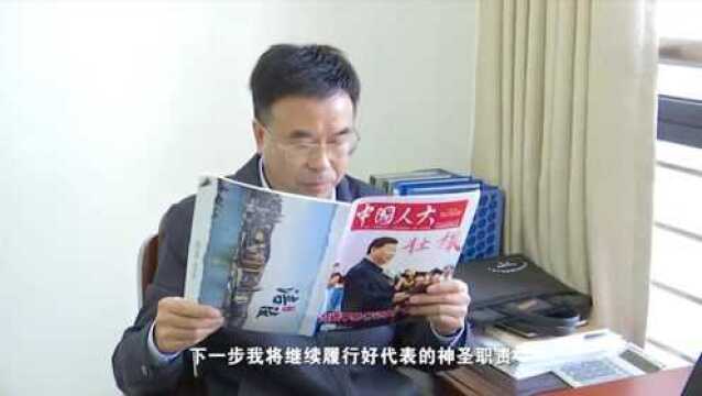 市人大代表何林:铁肩担道义 丹心献老区