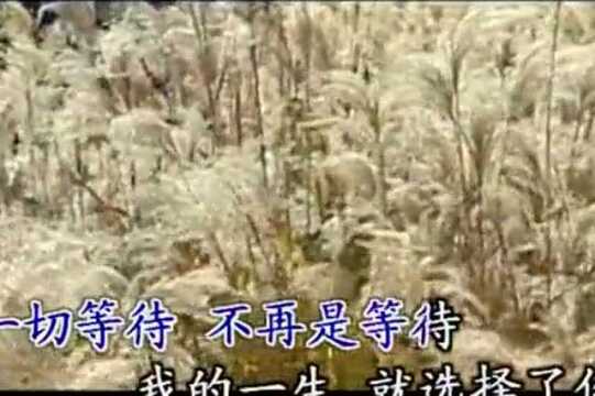 【晨曲】一曲经典歌曲,送给天下重情人