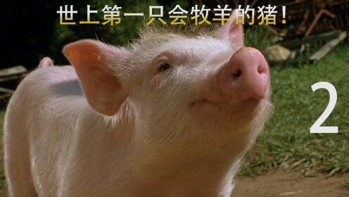 治愈电影：农场主中了小猪，却没想到它竟然有牧羊的天赋！