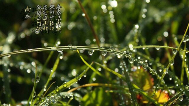 雨水节气到,养生要注意,吃这两物护肝、健脾胃!建议收藏