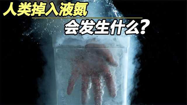 液氮到底有多危险?人类掉入到196℃液氮会发生什么?