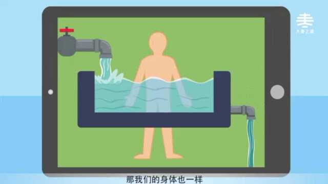 带您了解蓄水池的故事