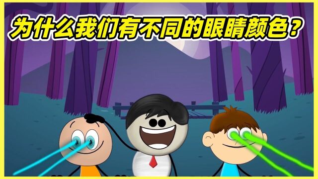 你知道为什么,我们有不同的眼睛颜色吗?