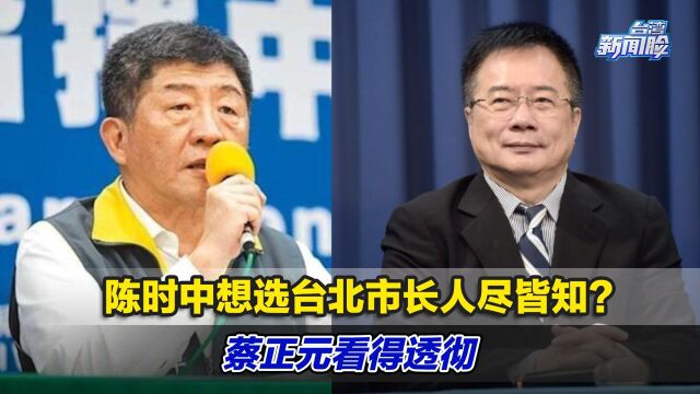 陈时中想选台北市长人尽皆知?蔡正元看得透彻