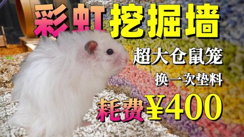 [图]巨大仓鼠笼换一次垫料就要400,网友:能顺带养个我吗?