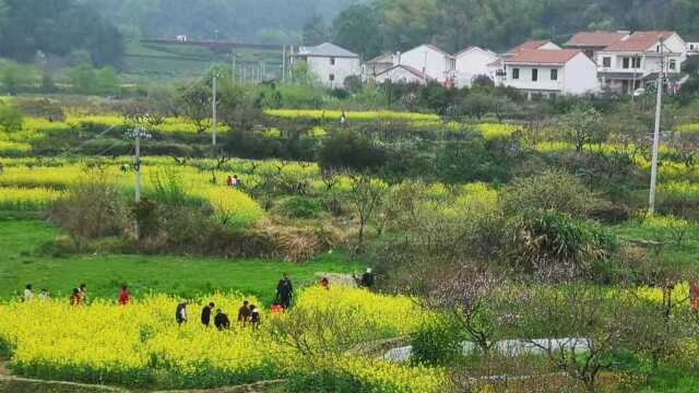 国网黄石供电公司:举办“春光美好向未来”摄影活动