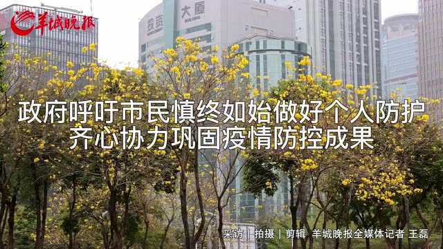 【视频】深圳有序恢复正常工作秩序