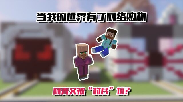 我的世界:当mc也有网购,请叫我带货小天才