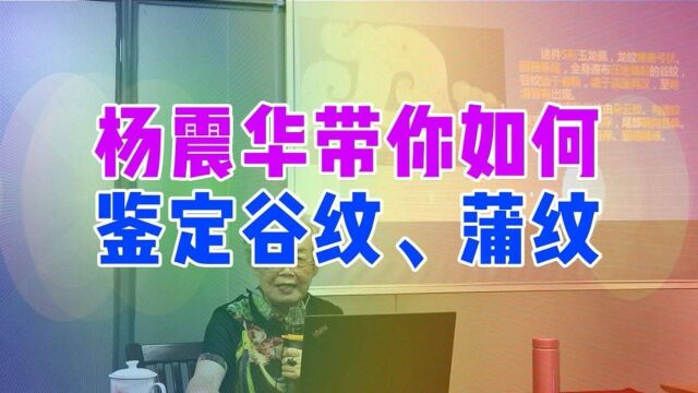 杨振华老师,让你学会古玉器鉴定