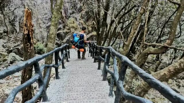 【海达户外】确认出行活动|4月4日周一白云山云元线随心徒步#海达科技#海达设计#海达化工