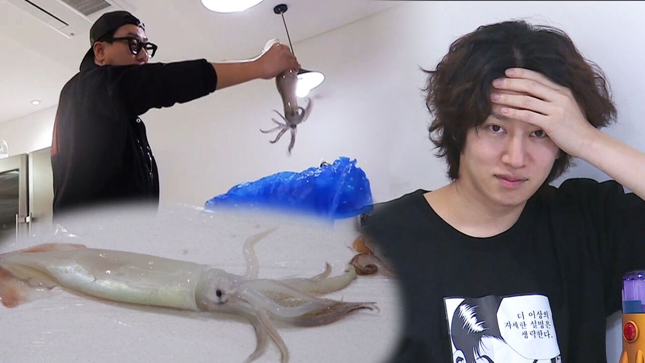 《我家的熊孩子》让人崩溃的鱿鱼派对!鱿鱼喷墨水让金希澈愤怒!