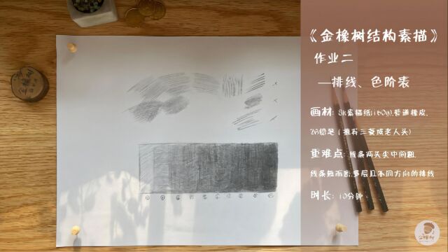 2.金橡树绘画结构素描作业二排线、色阶表