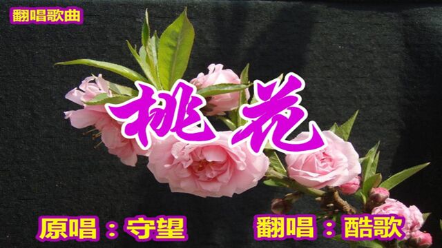 桃花酷歌翻唱