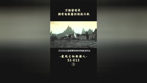 [图]万物皆有灵，拥有自我意识的战斗机幸运十三，为救主人选择自爆！