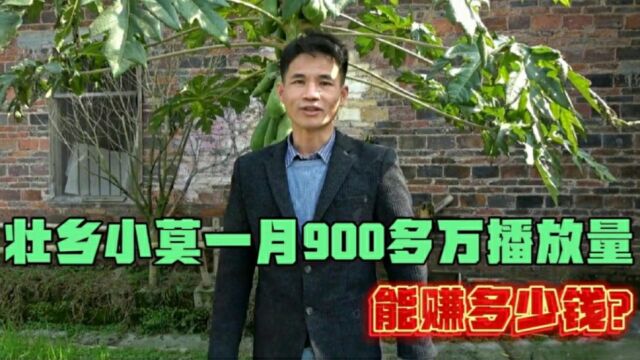 低调三农网红大咖壮乡小莫,一个月900多万播放量,能赚多少钱?