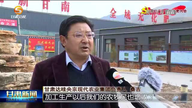 甘南:绿色探索 实现生态与发展和谐共生