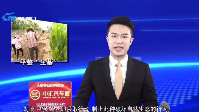 两英发现12处生基,已平整!