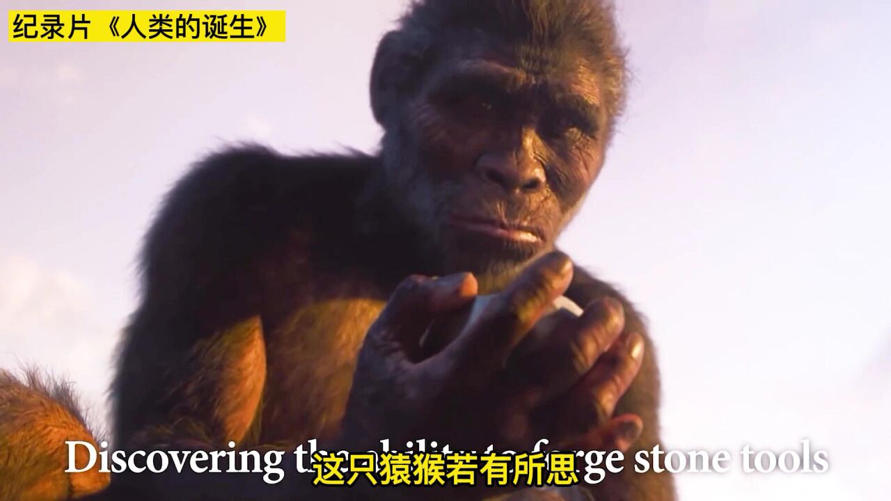 人类进化史,从370万年前到4万年前,猿猴是怎么变成人类的?_腾讯视频
