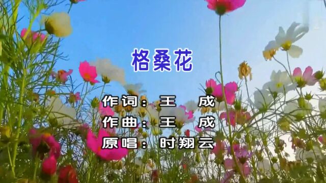 2022时翔云原唱民族歌曲《格桑花》MV