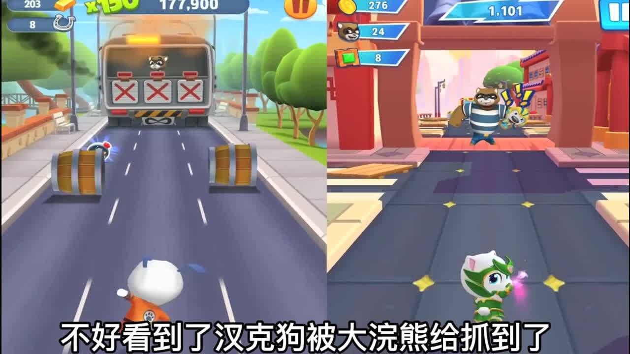 汤姆猫跑酷游戏 功夫汉克狗收集物资打败小浣熊 安吉拉一边收集宝箱
