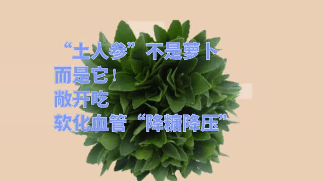 "土人参"不是萝卜,而是它!敞开吃,软化血管,"降糖降压"