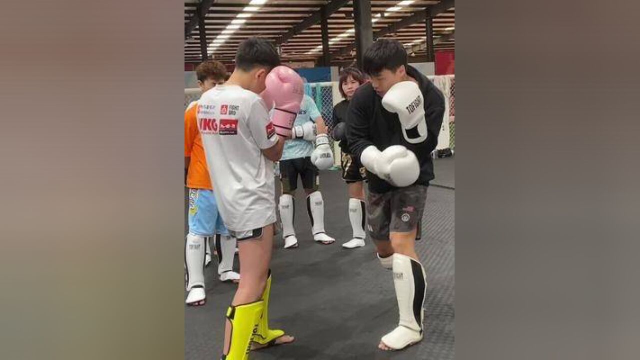 白鲨格斗 #tofight装备 基础的击腹拳!最简单就是最管用的.