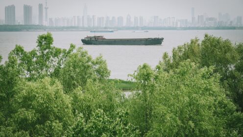 长江之滨、翠绿之心，从南京的绿色江岸到林荫大道